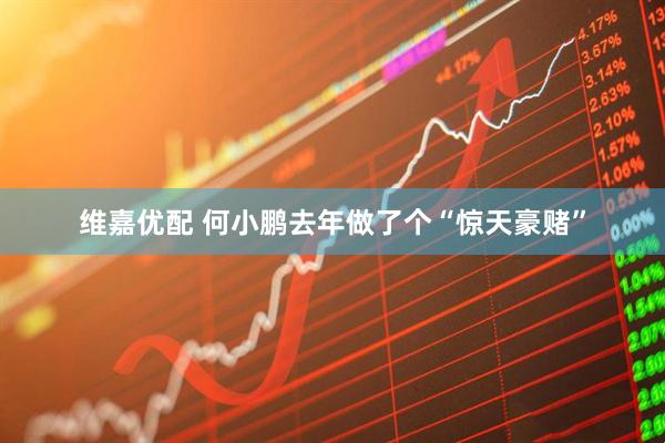 维嘉优配 何小鹏去年做了个“惊天豪赌”